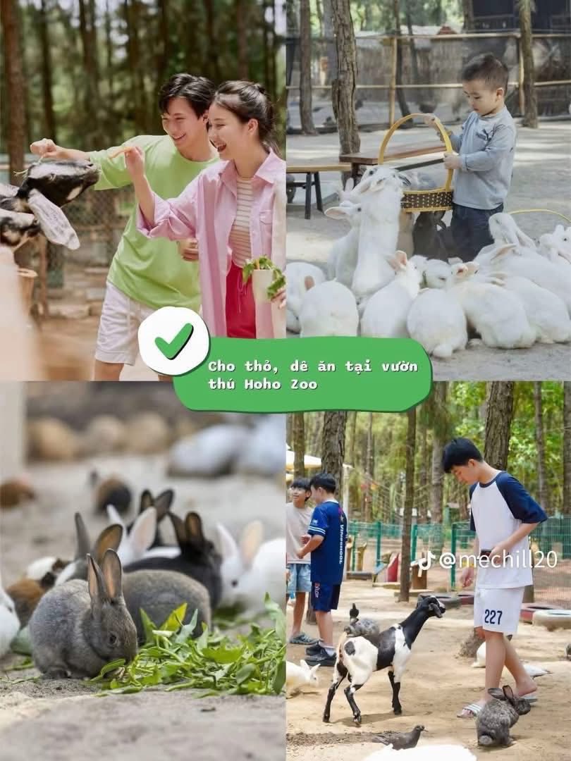 538799351 2033979897404647 4198634512025967182 N