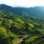 530831982 122209924142124964 8250783574492680837 N