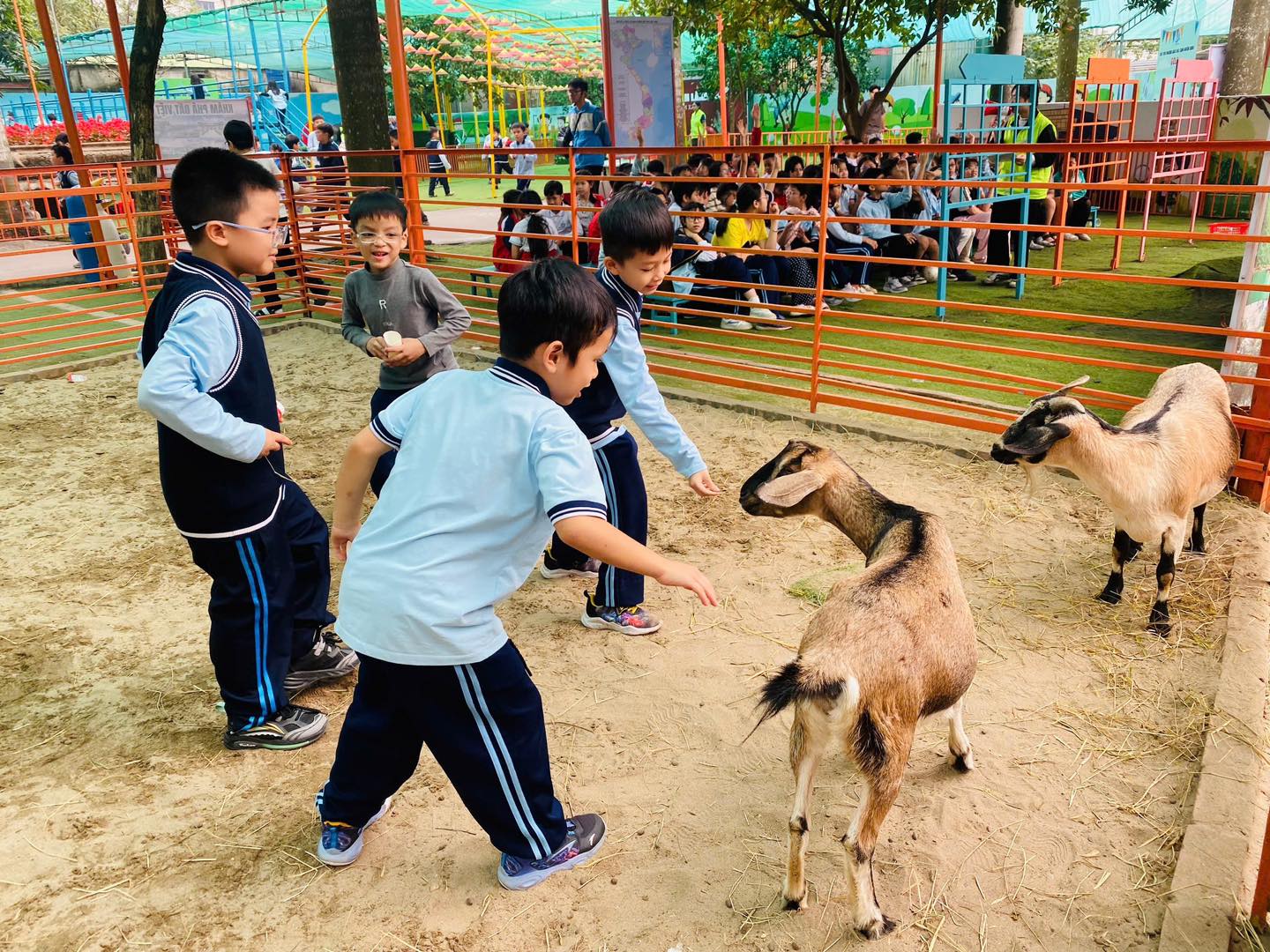 596812330 1326517992823024 8174385793956763406 N