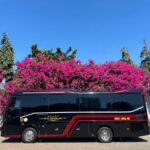 Cho Thue Xe Limousine 19 15