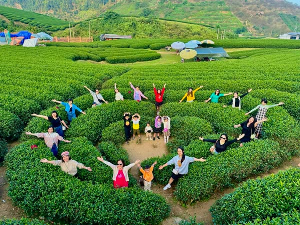 Lựa Chọn Phương Tiện Đến Mộc Châu Du Lịch